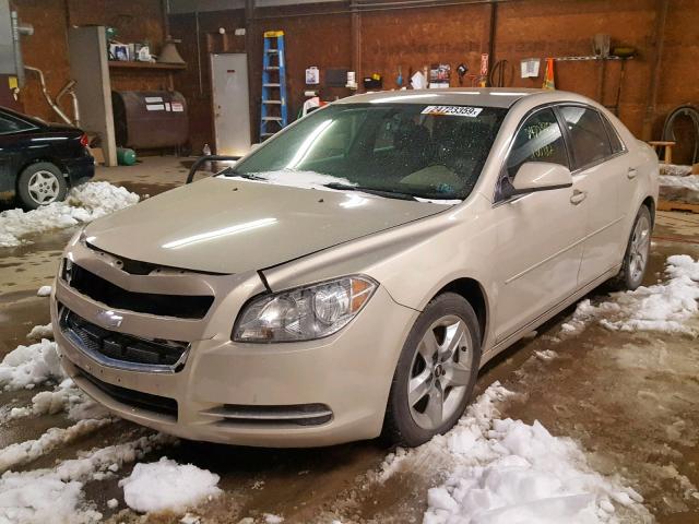 1G1ZH57BX9F149037 - 2009 CHEVROLET MALIBU 1LT 米色 照片 2