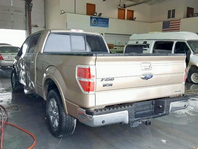 1FTFW1CF2DKE75917 - 2013 FORD F150 SUPER GOLD photo 3