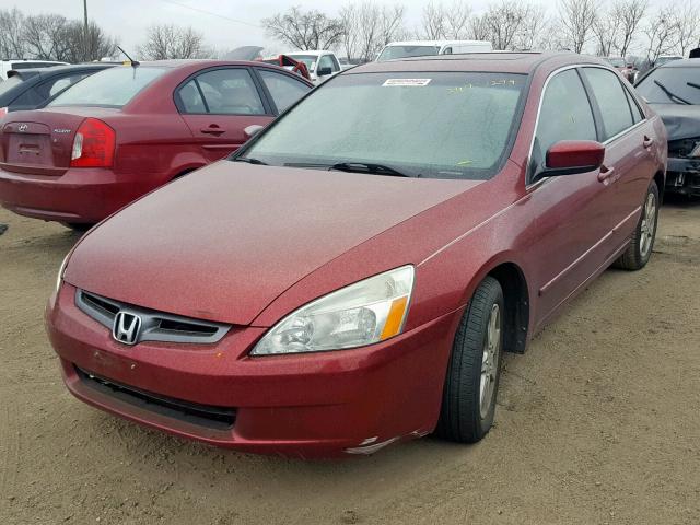 1HGCM66543A076649 - 2003 HONDA ACCORD EX BURGUNDY photo 2