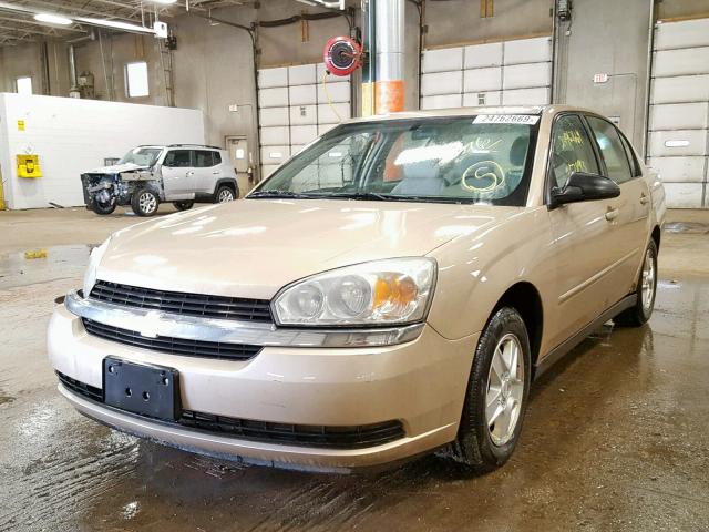 1G1ZT54884F190072 - 2004 CHEVROLET MALIBU LS თაფლისფერი ფოტო 2