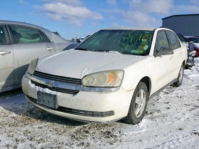 1G1ZT52885F250257 - 2005 CHEVROLET MALIBU LS WHITE photo 2