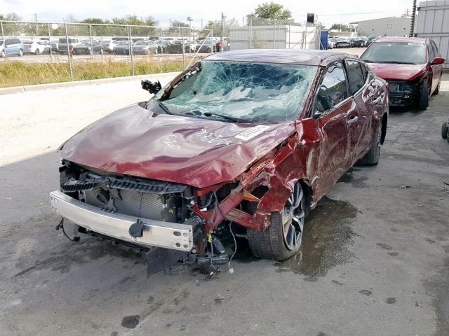 1N4AA6AP0HC399766 - 2017 NISSAN MAXIMA 3.5 BURGUNDY photo 2