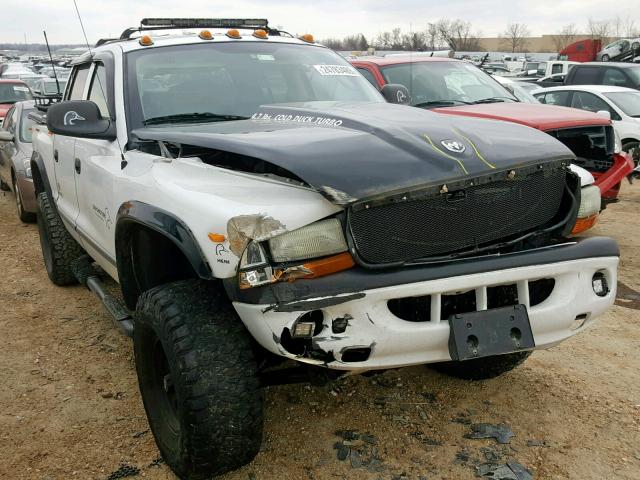 1B7HG38N42S555850 - 2002 DODGE DAKOTA QUA WHITE photo 1