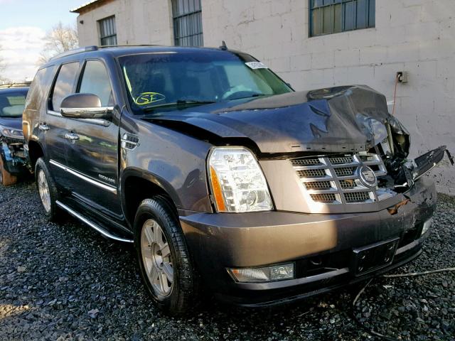 1GYS4AEF5BR219481 - 2011 CADILLAC ESCALADE GRAY photo 1