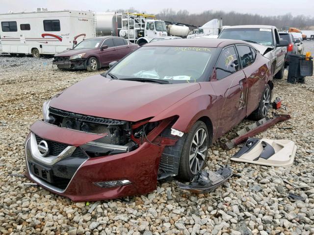 1N4AA6AP2HC401145 - 2017 NISSAN MAXIMA 3.5 MAROON photo 2