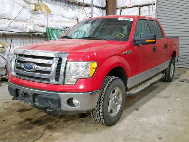 1FTFW1EF7BKD48557 - 2011 FORD F150 SUPER RED photo 2