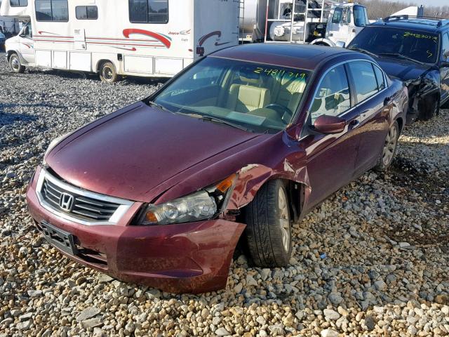 1HGCP2F88AA175689 - 2010 HONDA ACCORD EXL MAROON photo 2