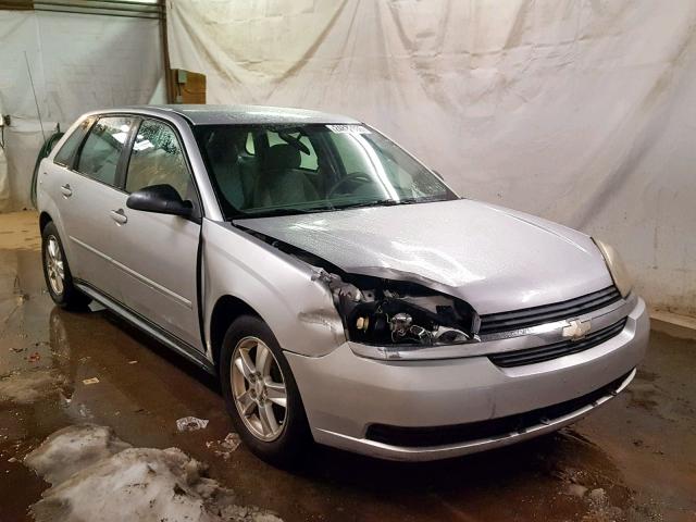1G1ZT64884F248073 - 2004 CHEVROLET MALIBU MAX ვერცხლისფერი ფოტო 1