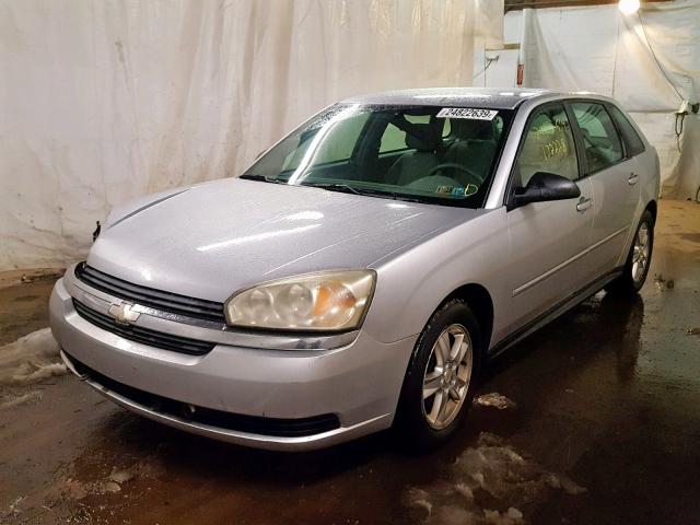 1G1ZT64884F248073 - 2004 CHEVROLET MALIBU MAX ვერცხლისფერი ფოტო 2