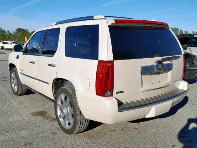 1GYUCCEF1AR250121 - 2010 CADILLAC ESCALADE P WHITE photo 3