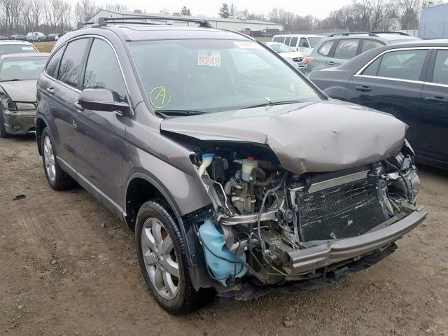 5J6RE38789L018134 - 2009 HONDA CR-V EXL GRAY photo 1