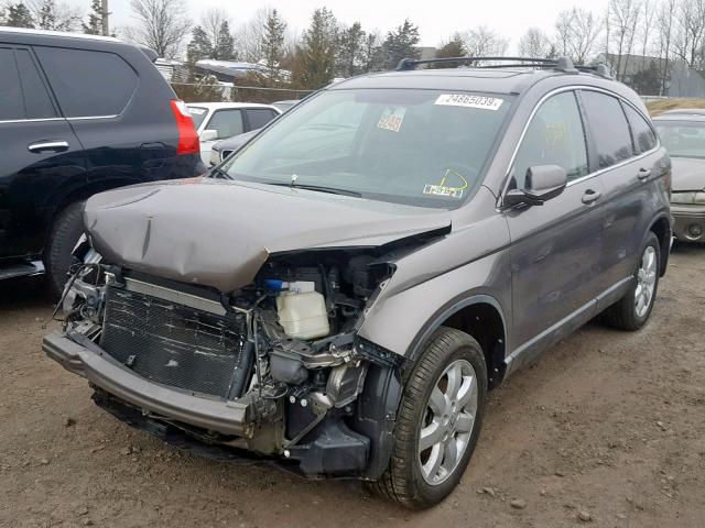 5J6RE38789L018134 - 2009 HONDA CR-V EXL GRAY photo 2