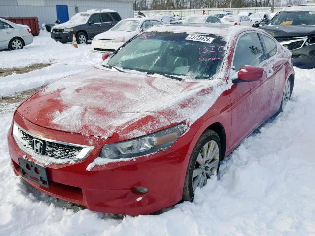 1HGCS21808A004564 - 2008 HONDA ACCORD EXL RED photo 2