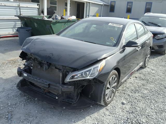 5NPE34AF0FH106239 - 2015 HYUNDAI SONATA SPO BLACK photo 2