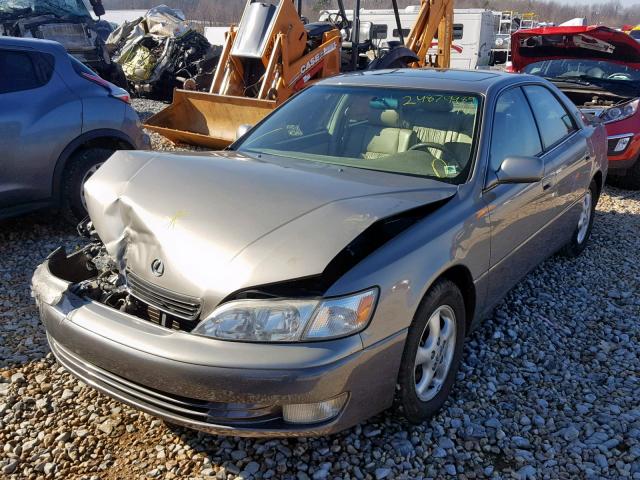 JT8BF28G7W5022446 - 1998 LEXUS ES 300 BEIGE photo 2