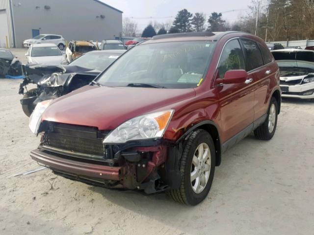 JHLRE48757C068596 - 2007 HONDA CR-V EXL BURGUNDY photo 2