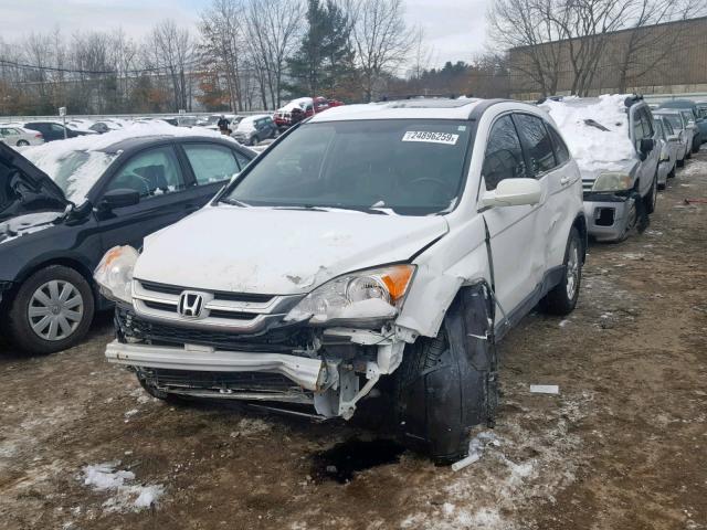 JHLRE4H71BC004824 - 2011 HONDA CR-V EXL WHITE photo 2