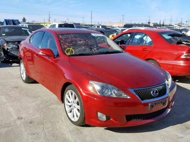 JTHBF5C22A5128616 - 2010 LEXUS IS 250 RED photo 1