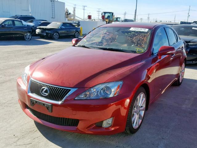 JTHBF5C22A5128616 - 2010 LEXUS IS 250 RED photo 2