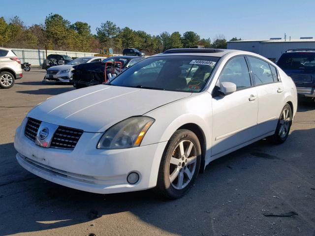 1N4BA41E95C810617 - 2005 NISSAN MAXIMA SE WHITE photo 2