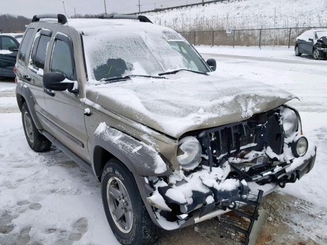 1J4GL38K65W722570 - 2005 JEEP LIBERTY RE GOLD photo 1