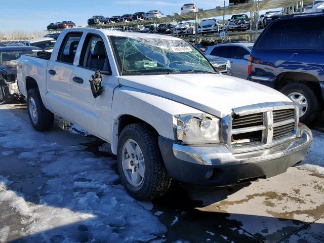 1D7HW48N05S278858 - 2005 DODGE DAKOTA QUA WHITE photo 1