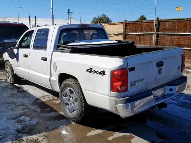 1D7HW48N05S278858 - 2005 DODGE DAKOTA QUA WHITE photo 3