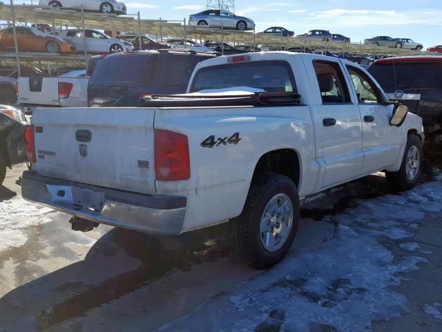 1D7HW48N05S278858 - 2005 DODGE DAKOTA QUA WHITE photo 4