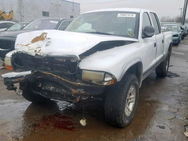 1D7HG48N33S181647 - 2003 DODGE DAKOTA QUA WHITE photo 2