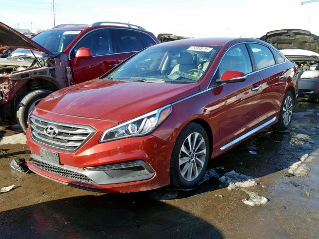 5NPE34AF0FH055535 - 2015 HYUNDAI SONATA SPO RED photo 2