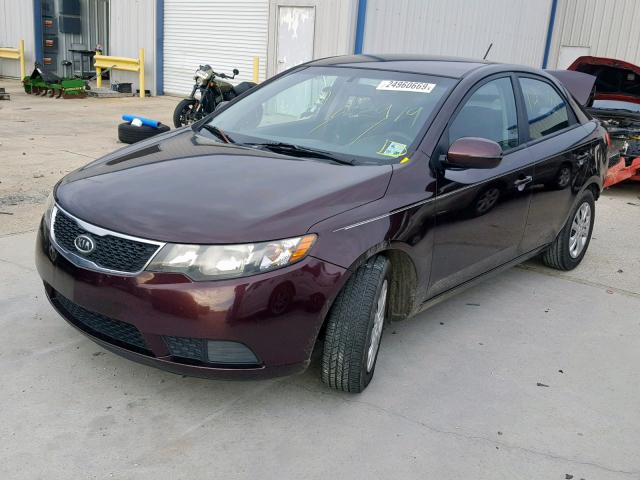 KNAFU4A28B5355555 - 2011 KIA FORTE EX 勃艮第红 照片 2