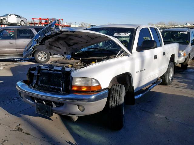 1B7HG48N32S551603 - 2002 DODGE DAKOTA QUA WHITE photo 2