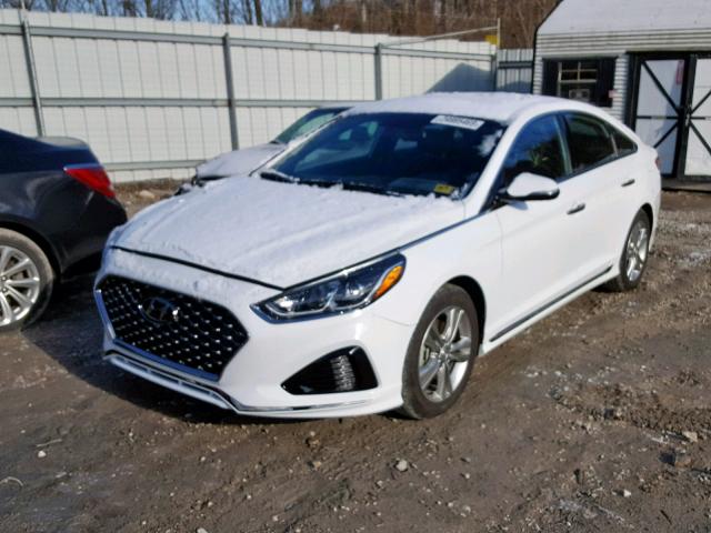 5NPE34AF3JH671724 - 2018 HYUNDAI SONATA SPO WHITE photo 2