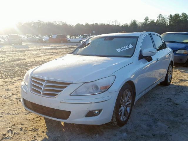 KMHGC4DF9BU141703 - 2011 HYUNDAI GENESIS 4. WHITE photo 2