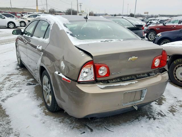 1G1ZH57B58F267558 - 2008 CHEVROLET MALIBU 1LT GOLD photo 3