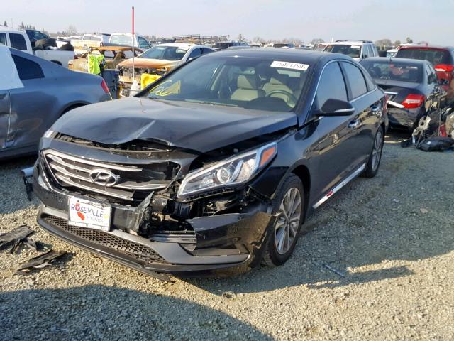 5NPE34AF7HH497375 - 2017 HYUNDAI SONATA SPO BLACK photo 2