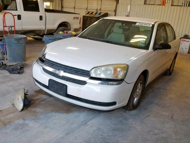 1G1ZT54895F154229 - 2005 CHEVROLET MALIBU LS WHITE photo 2