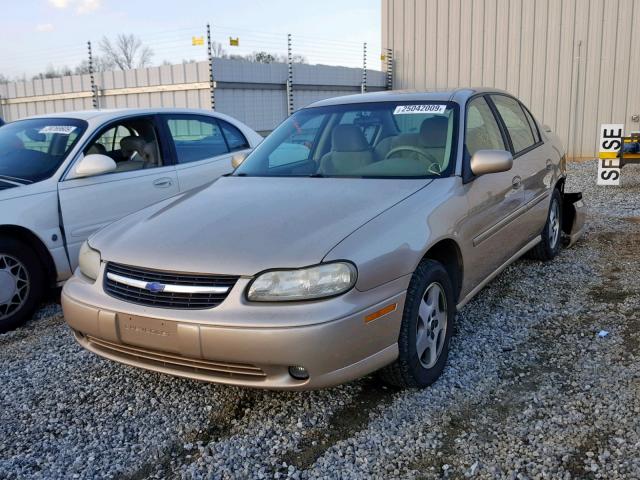 1G1NE52J23M605525 - 2003 CHEVROLET MALIBU LS GOLD photo 2