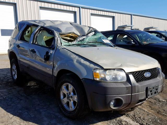 1FMCU93135KD29020 - 2005 FORD ESCAPE XLT BEIGE photo 1