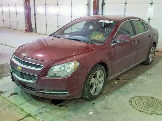 1G1ZD5E1XBF107768 - 2011 CHEVROLET MALIBU 2LT MAROON photo 2