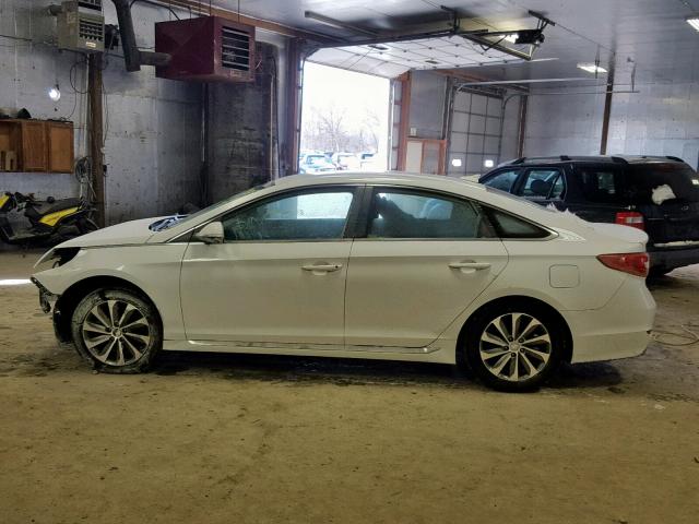 5NPE34AF8FH046923 - 2015 HYUNDAI SONATA SPO WHITE photo 9