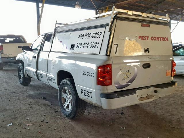 1D7RE3BK5BS528669 - 2011 DODGE DAKOTA SLT WHITE photo 3