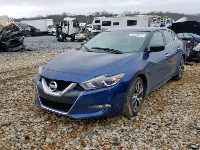 1N4AA6AP5GC441122 - 2016 NISSAN MAXIMA 3.5 BLUE photo 2