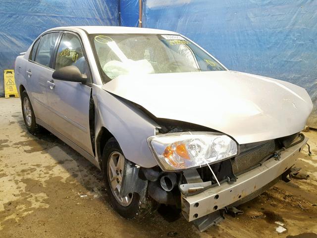 1G1ZT52875F310500 - 2005 CHEVROLET MALIBU LS ვერცხლისფერი ფოტო 1