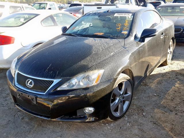 JTHFF2C2XA2510281 - 2010 LEXUS IS 250 BLACK photo 2