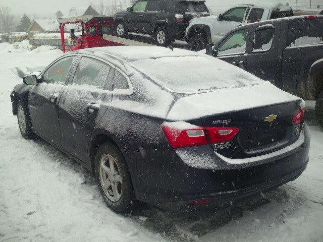 1G1ZB5ST5GF220739 - 2016 CHEVROLET MALIBU LS 蓝色 照片 3