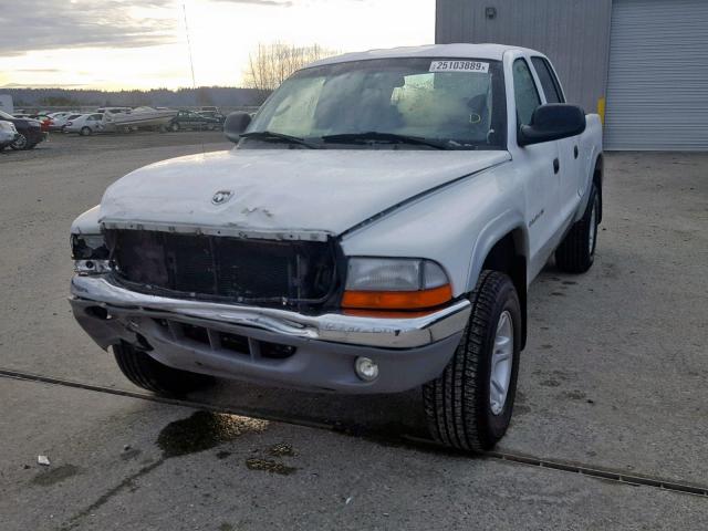 1B7HG2AN01S265799 - 2001 DODGE DAKOTA QUA WHITE photo 2