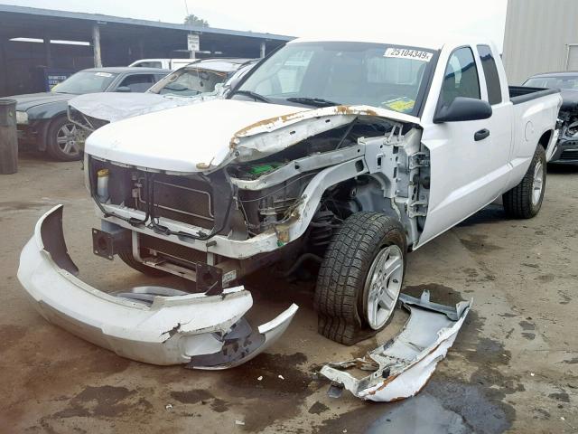 1D7CE3BK3AS163610 - 2010 DODGE DAKOTA SXT WHITE photo 2