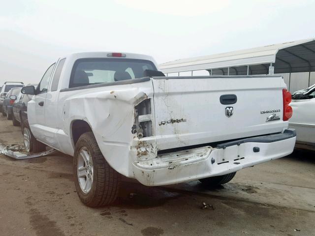 1D7CE3BK3AS163610 - 2010 DODGE DAKOTA SXT WHITE photo 3