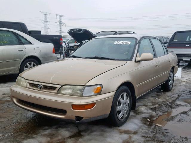 1NXBB02E8TZ404118 - 1996 TOYOTA COROLLA DX TAN photo 2